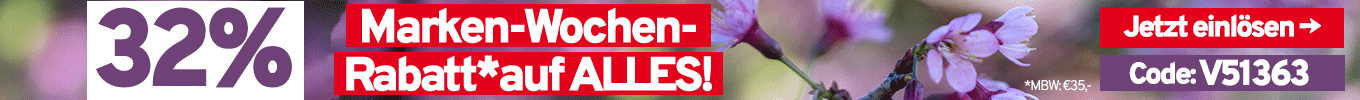 33% Rabatt