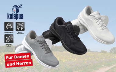 Jetzt zu den Sneaker