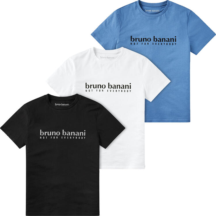 Auf diesem Bild sehen Sie Bruno Banani 3er Pack Herren T-Shirts in der Farbe gemischt
