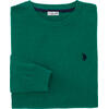 U.S. POLO ASSN. Herren Pullover Rundhals