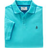 Auf diesem Bild sehen Sie Jacques Britt Herren Poloshirt kurzarm in der Farbe t�rkis