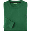Auf diesem Bild sehen Sie Benetton Herren Pullover Rundhals, mit feinem Strick aus 100% Baumwolle in der Farbe gr�n
