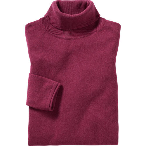Emilia Parker Kaschmir-Seide Rollkragenpullover