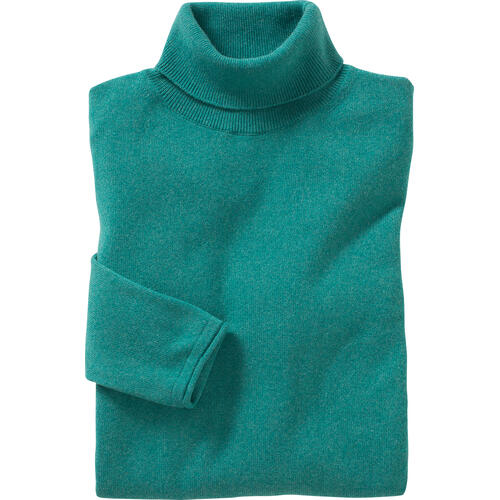 Emilia Parker Kaschmir-Seide Rollkragenpullover